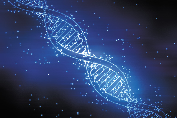 Strand Lifesciences' DNA Testing Plans
