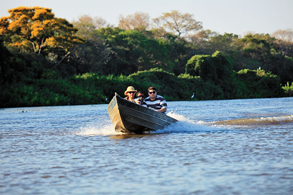 In Search of the Elusive Jaguar