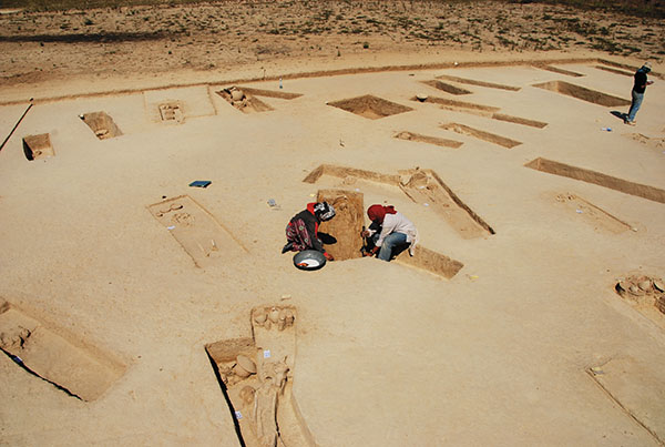 What Did Our Ancestors Eat? Digging For Clues