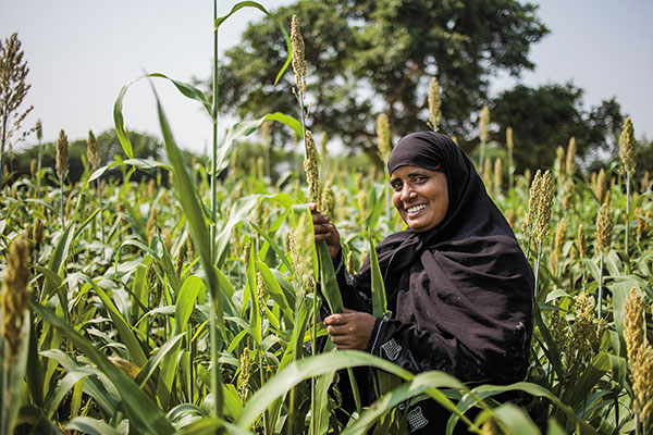 Andhra's Pesticide-Free Farming: An Inconclusive Experiment