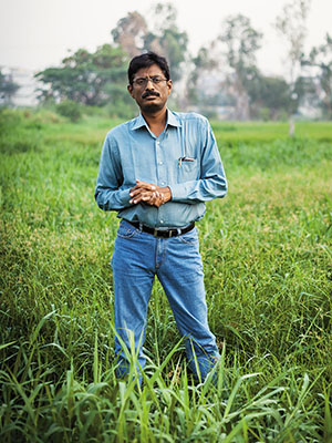 Andhra's Pesticide-Free Farming: An Inconclusive Experiment