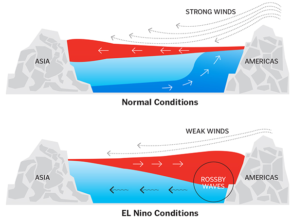 El Nino: Reading the Wind and the Waves
