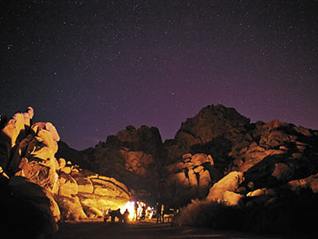 New Year's Eve at the Joshua Tree National Park