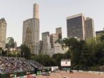 When horses dance at New York's Central Park