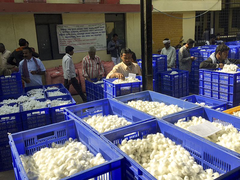 Budget reactions: Govt fails to bring relief to Karnataka's silk farmers