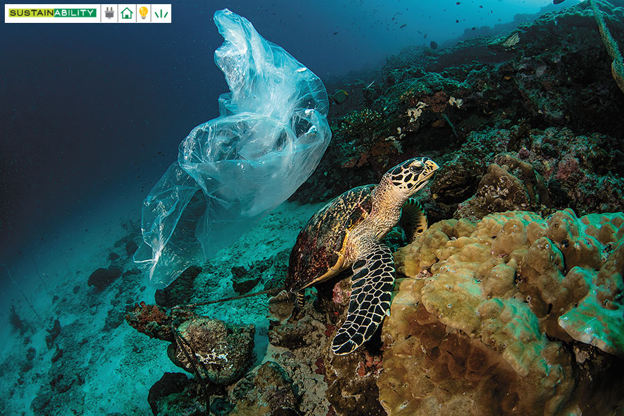 g_117399_sea_turtle_and_plastic_bag_underwater_280x210.jpg