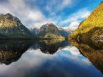 Travel: New Zealand's Doubtful Sound holds a unique marine habitat