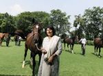 The changing face of horse riding: Women in the saddle