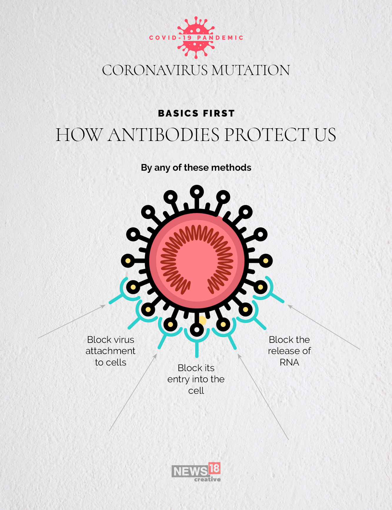 The novel coronavirus is mutating: What this means