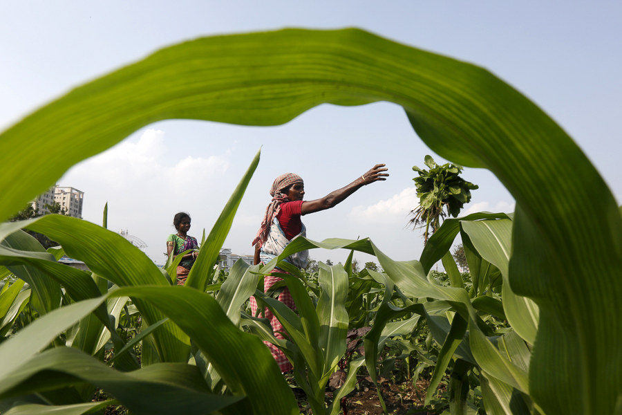 agriculture