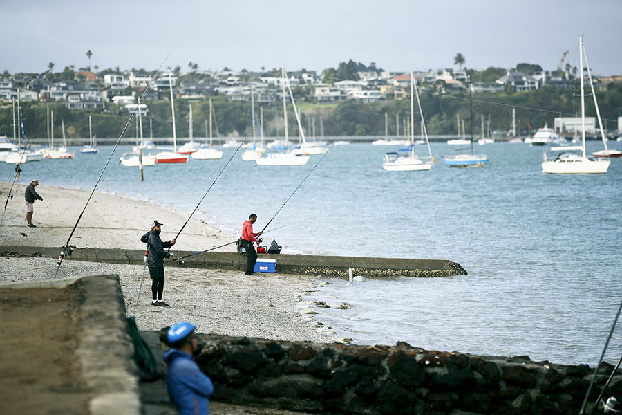 fishing in auckland