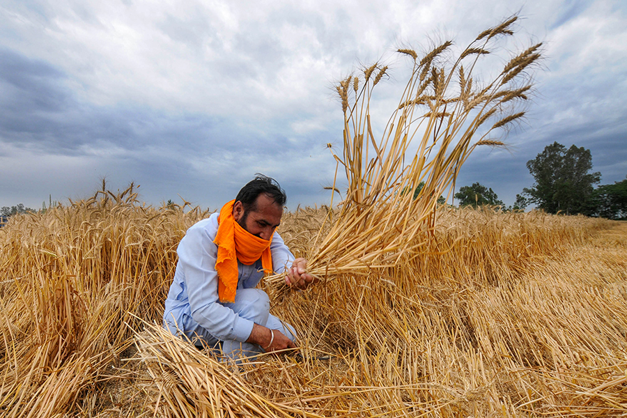 farmer_gettyimages_bg