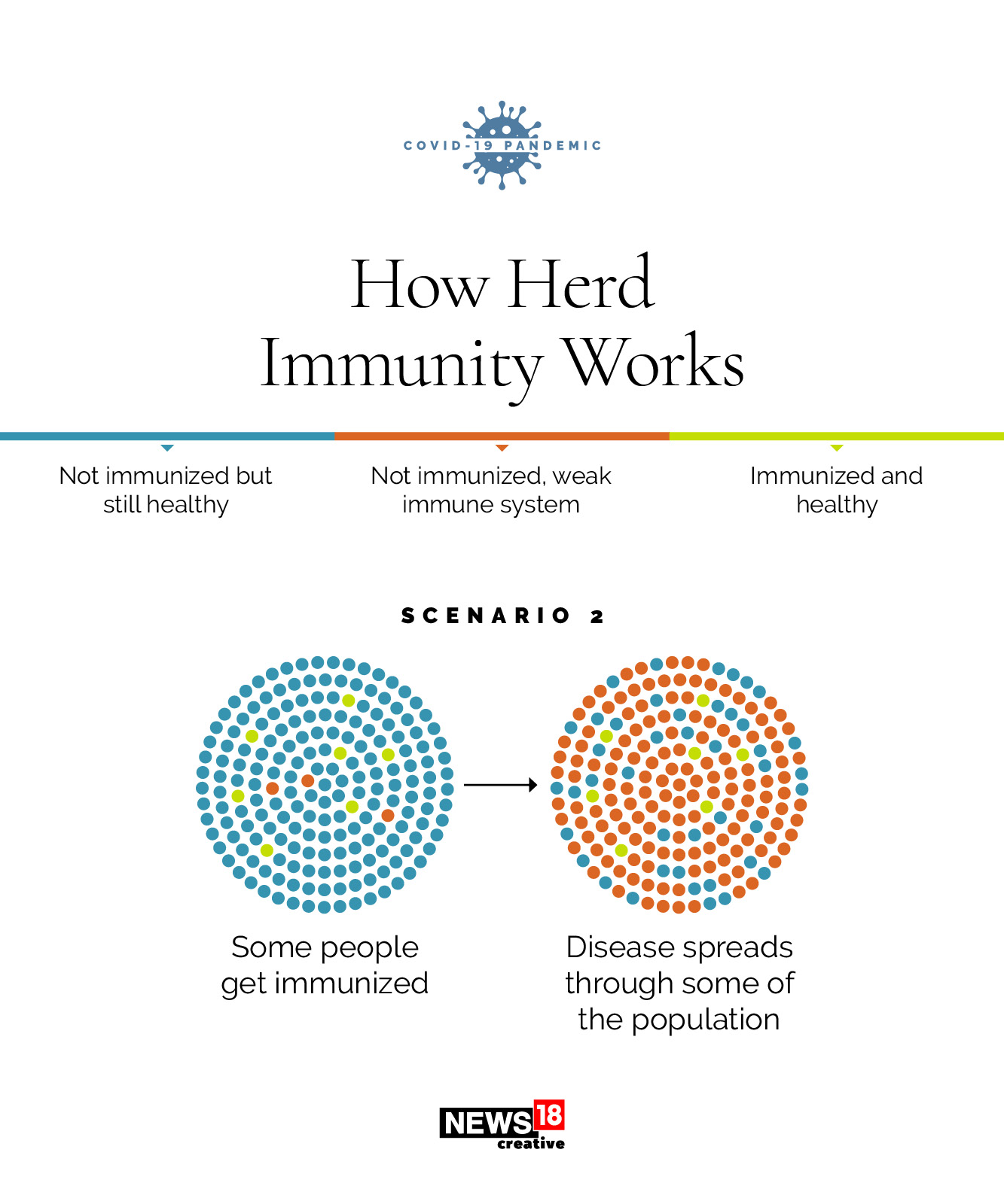 Herd immunity: How does it work?