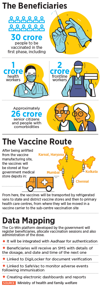 covid-19 vaccine rollout_infographic