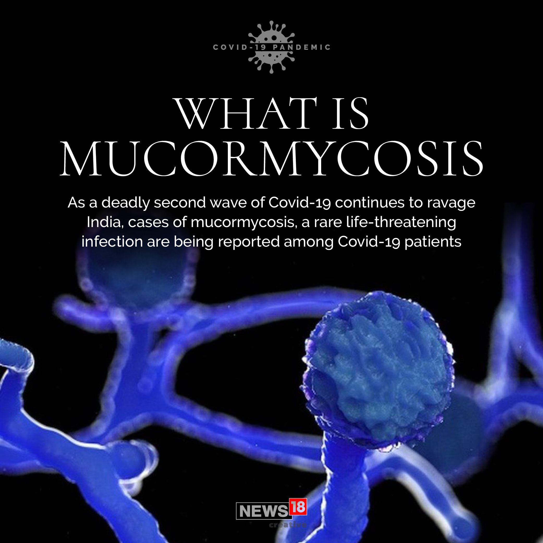 What is mucormycosis, or Black Fungus?
