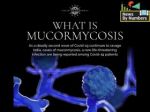 What is mucormycosis, or Black Fungus?