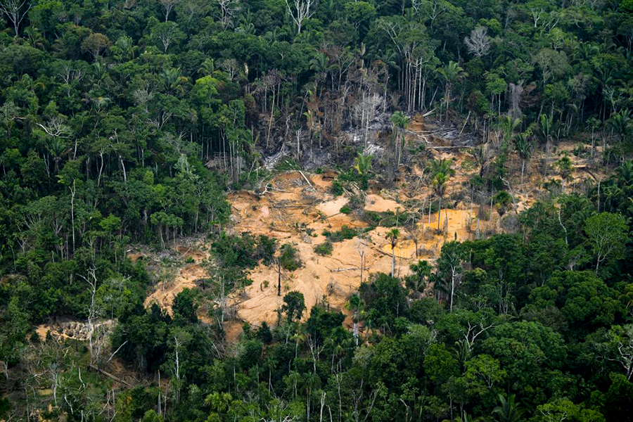 An aerial view of a deforested area of the Amazonia rainforest in Porto Velho, Rondonia state, Brazil, on September 15, 2021. The Amazon basin has, until recently, absorbed large amounts of humankind's ballooning carbon emissions, helping stave off the nightmare of unchecked climate change. Image: Mauro Pimentel/AFP