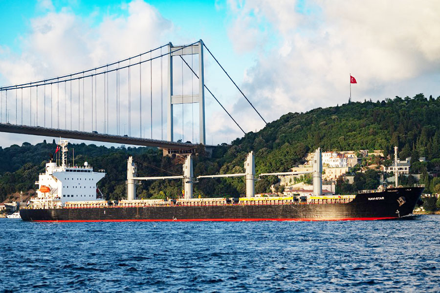 The Panama-flagged bulk carrier Navi Star carrying tons of grain from Ukraine sails along the Bosphorus Strait past Istanbul on August 7, 2022, after being officially inspected. Image: Yasin Akgul/AFP