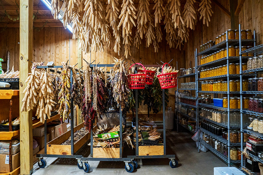 A storage room at the Onondaga Nation Farm, holding thousands of seed varieties and preserved foods, enough to feed every tribal citizen for four years, in South Onondaga, N.Y, on Aug 21, 2022. Through classes, seed banks and plantings, tribes across the United States are reclaiming their agricultural roots, growing healthy foods and aiming for self-sufficiency. Image: Tahila Mintz/The New York Times
