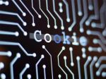 Are cookies a friend or a foe for internet users?