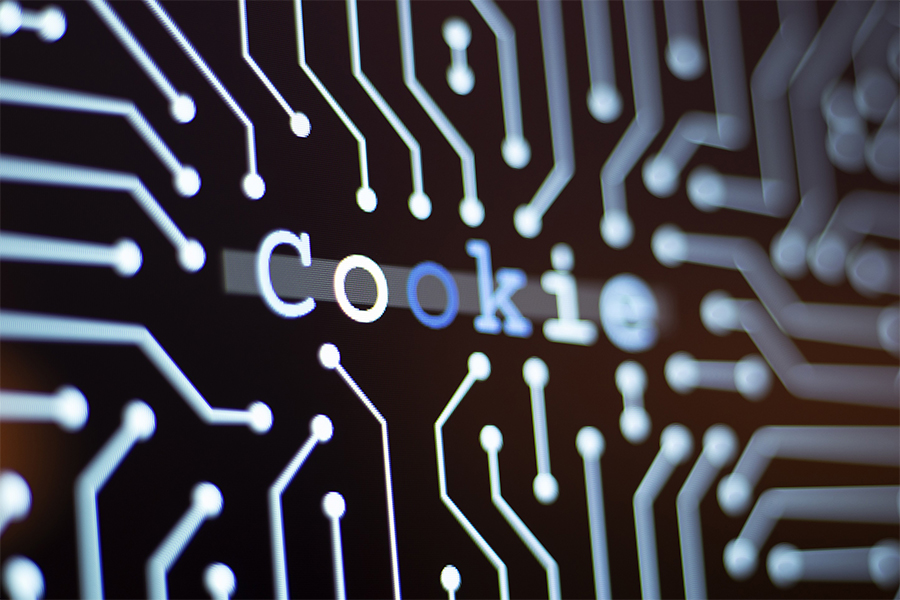 Cookies are small computer files that can contain a lot of personal information.
Image: atakan / Getty Image