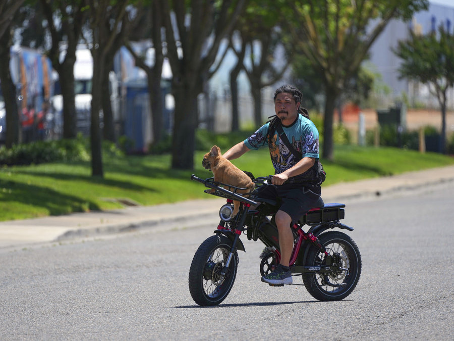 Chris Del Rosario, a partner in a French bulldog breeding business with his brother, Jaymar Del Rosario, rides with a night stick and gun in case anyone dares to steal his dog Cashew, in Elk Grove, Calif., on May 18, 2022. The popular breed has become one of the most expensive in the United States, and some owners have started carrying guns for protection. (Jim Wilson/The New York Times)