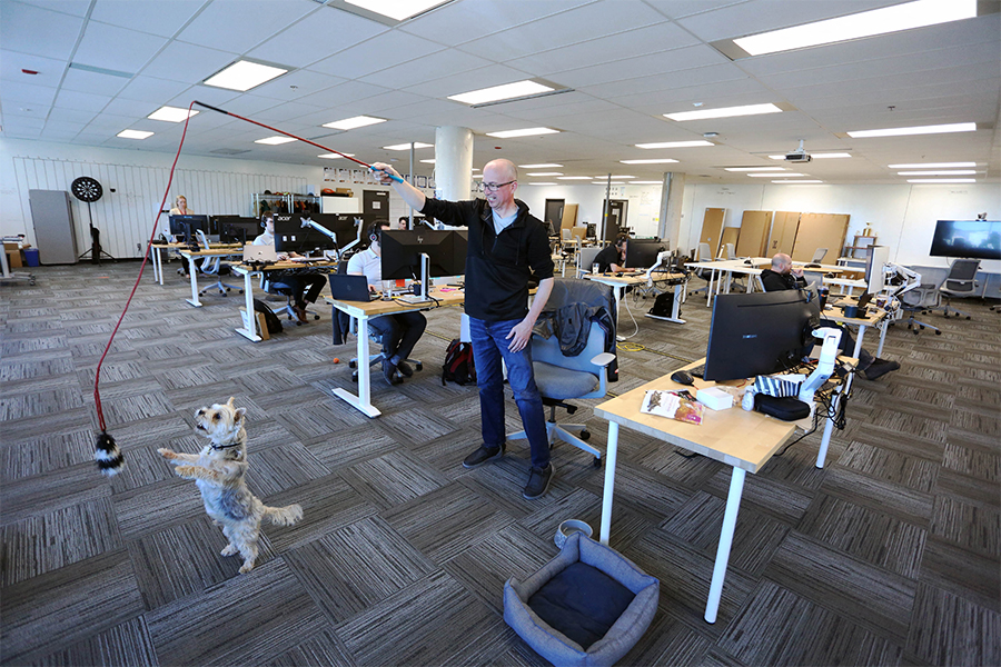 Trevor Watt, project controls manager plays with his dog Samson, a Yorkshire Terrier at the office of Chandos Bird joint venture May 4, 2022 in Ottawa, Canada. (Credits: Dave Chan / AFP)