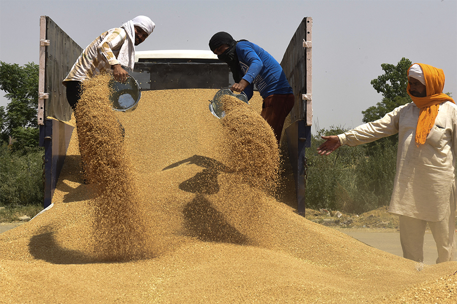 India that has about 10% of the world’s grain reserves has banned exports with some exceptions. Image: Narinder NANU/ AFP