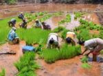 Festive Season Demand: Cheer missing in rural markets Festive Season Demand: Cheer missing in rural markets