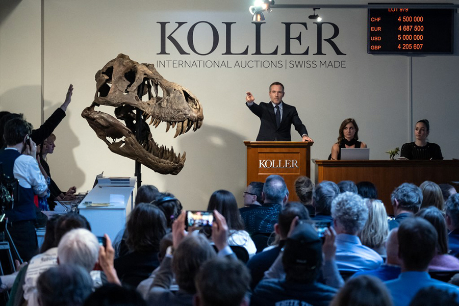 Koller auction house director Cyril Koller (C) gestures next to the skull of the 'Trinity' during sale of the skeleton of the Tyrannosaurus-Rex (T-Rex) by Koller auction house in Zurich, on April 18, 2023. It was sold for 4,8 million Swiss francs (,333333 million). Image:  Fabrice Coffrini / AFP