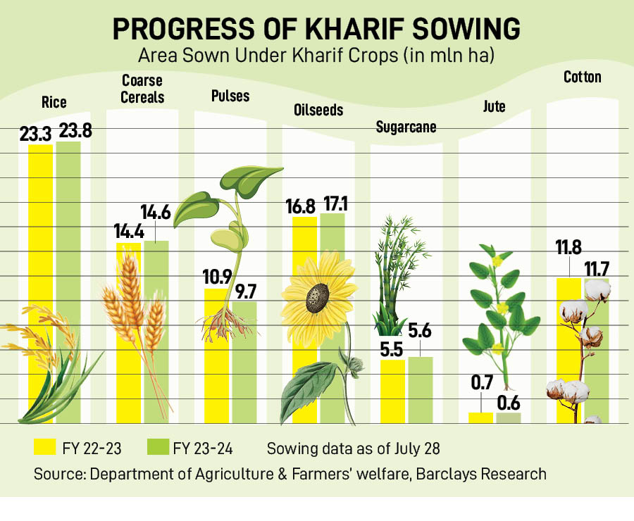With rainfall covering the central and southern regions more fully, states that are major kharif crop producers, like Maharashtra, Karnataka and Telangana, are seeing improvement in sowing.
Image: Getty Images