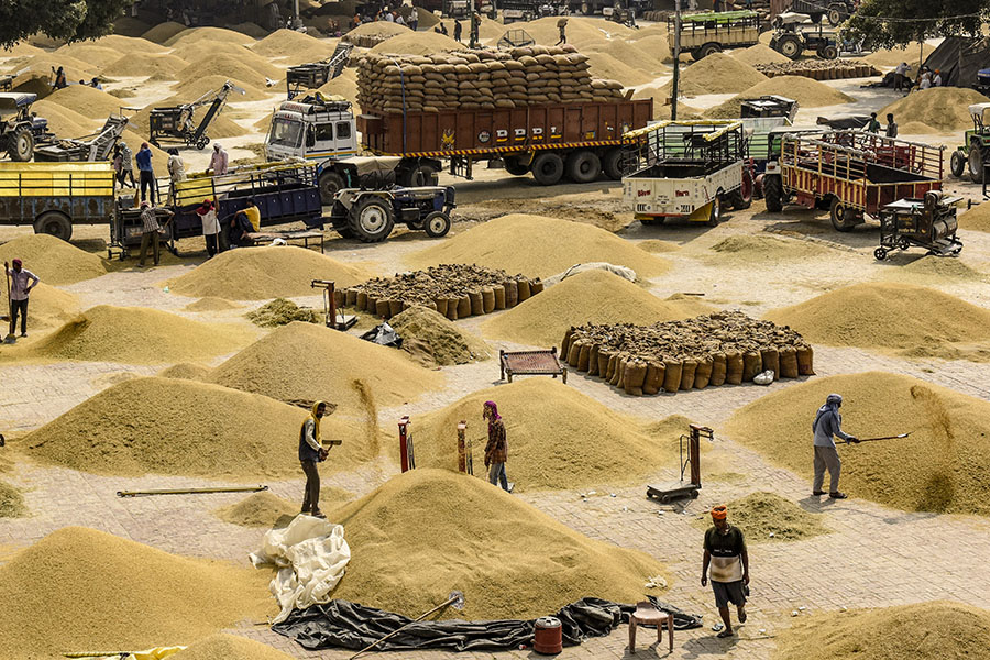 
(File) Labourers use shovels to separate rice husk from the grain at a wholesale grain market in Amritsar.
Image: Narinder Nanu / AFP