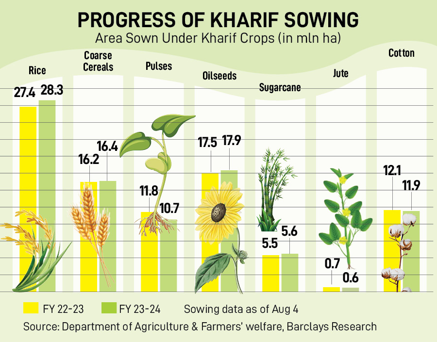 Sowing of pulses is lagging, at 11 percent below last year’s level, delayed by patchy monsoon rainfall in producer states Maharashtra and Karnataka in July.
Image: Sanjay Kanojia/AFP
