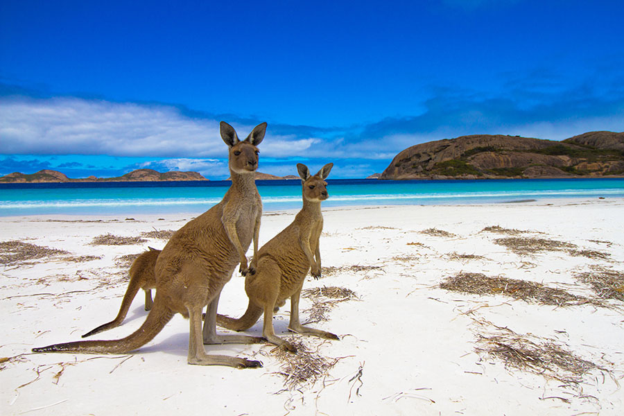 Lucky Bay, Australia. Image credit:  Shutterstock
