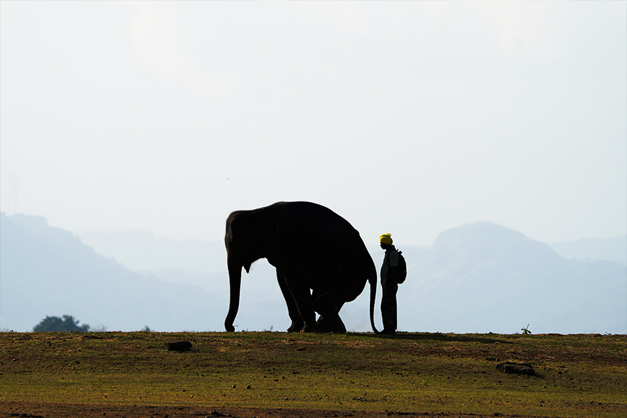 Image: Thilina Kaluthotage/NurPhoto via Getty Images