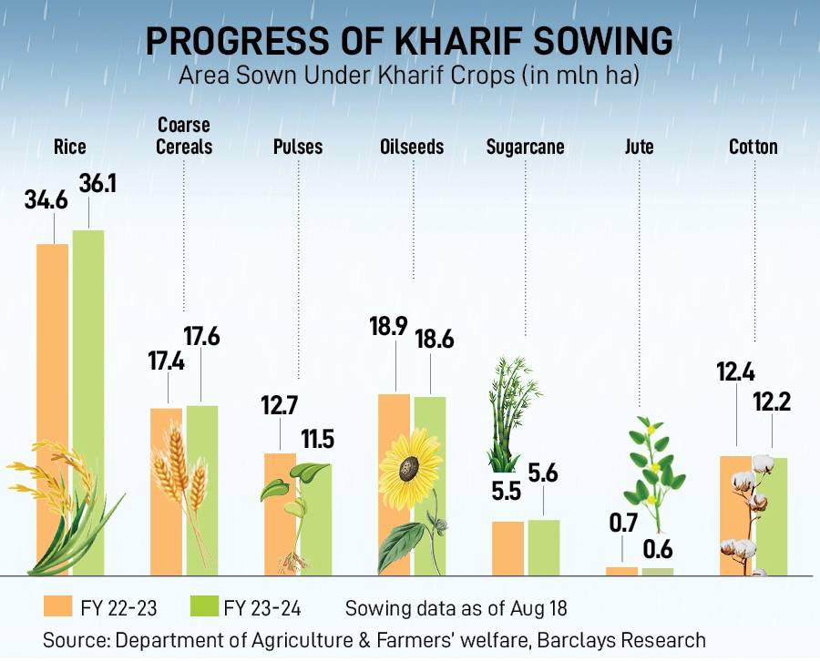 Kharif sowing further improved over the past week , with most of the improvement seen in rice and pulses, two crops where sowing was lagging, implying some catchup. 
Image: Rajendra Jadhav / Reuters