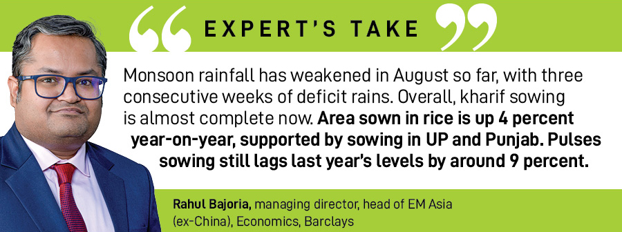 Kharif sowing further improved over the past week , with most of the improvement seen in rice and pulses, two crops where sowing was lagging, implying some catchup. 
Image: Rajendra Jadhav / Reuters