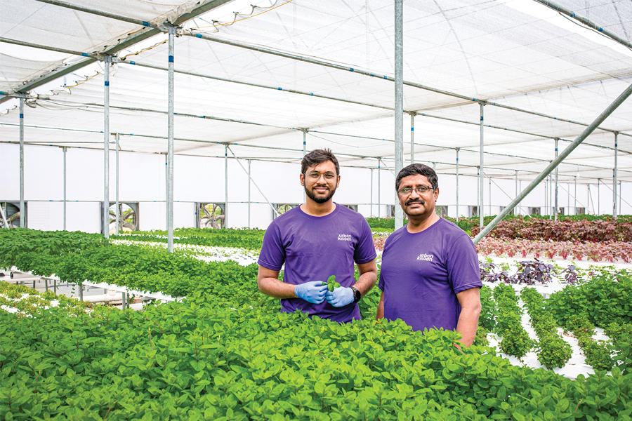 
Nutrifresh Farms co-founder & CEO Sanket Mehta and co-founder Ganesh Nikam at Nutrifresh farms, Pune
Image: Swapnil Sakhare for Forbes India