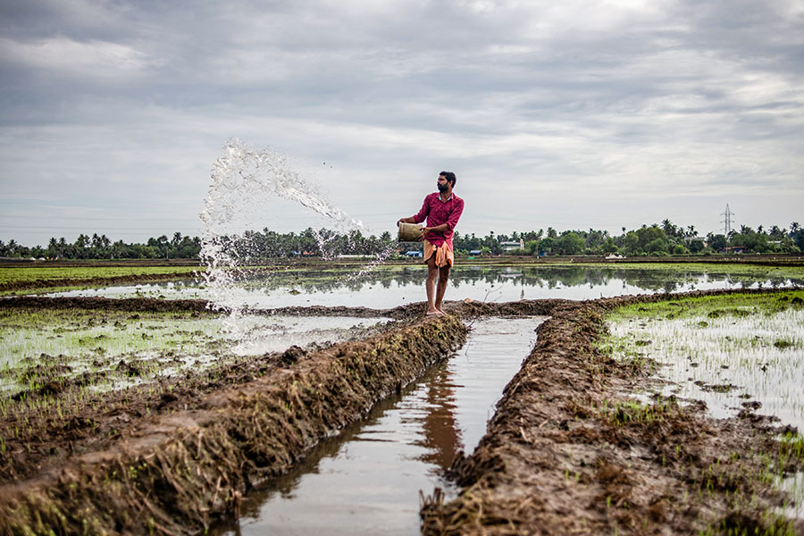 The uneven distribution of rainfall continued, with southern regions going further into deficit and the eastern region’s large deficiency persisting
Image: Getty Images