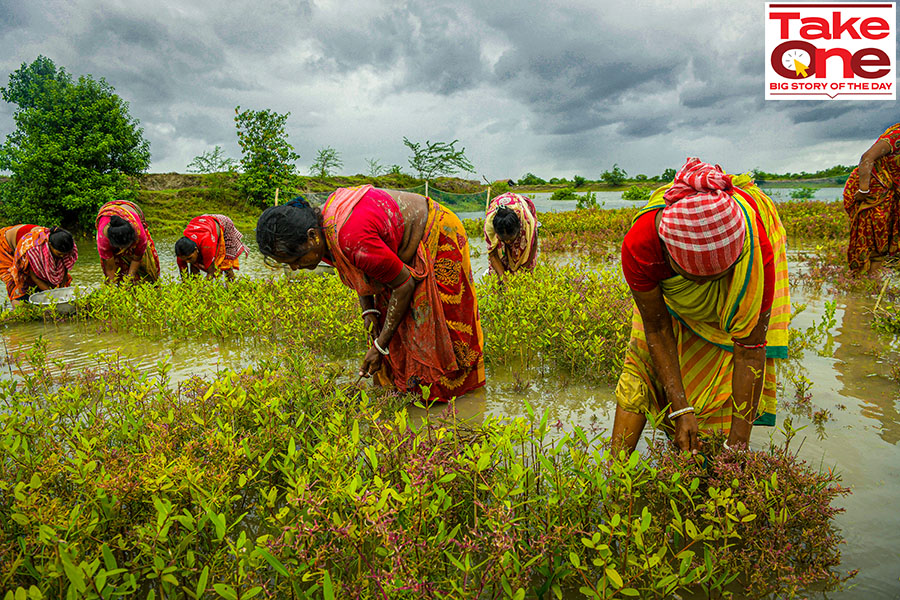 Delay in the sowing of kharif crops, which reduced the demand for farm labour. Besides, the withdrawal of some pandemic sops squeezed spending and rural wages remained flattish.
Image: Avijit Ghosh/SOPA Images/LightRocket via Getty Images
 