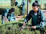 Morocco gardening school cultivates hope for marginalised youth