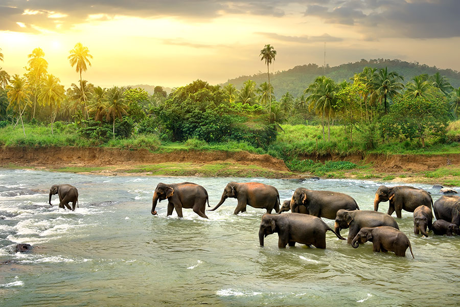 Sri Lanka; Image: Shutterstock