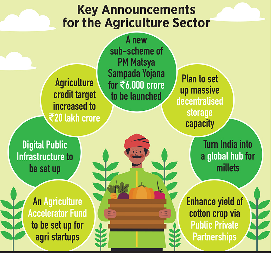 One of the major challenges that the agriculture sector in India faces is that of lack of storage capacity. In order to fix this, the finance minister has announced plans to set up massive decentralised storage capacity Image: Shutterstock 