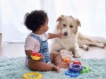 Could dogs teach young children about altruism and helping others?