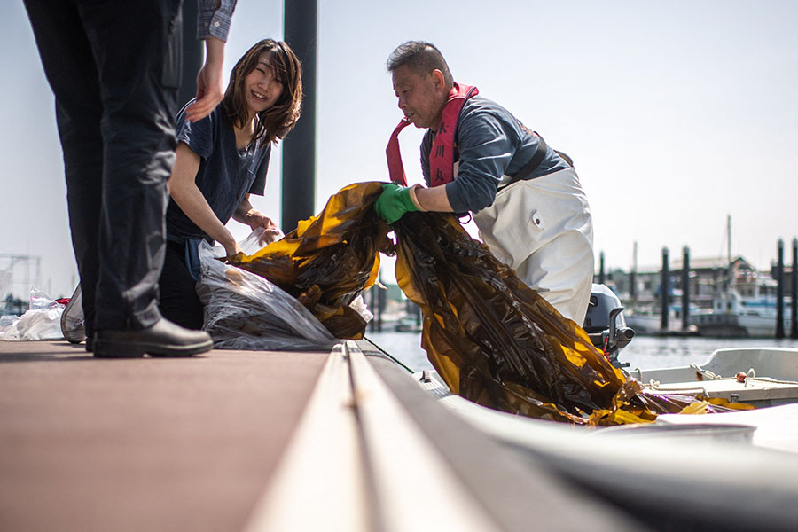 Fisherman Ryoichi Kigawa (R) handling kelp at a fishing port in Yokohama, Kanagawa Prefecture. Image: Philip Fong/ AFP 