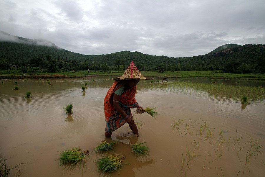 Monsoon rainfall has gathered pace in the first week of July. So far, normal rainfall is at 2 percent, which is above the long-period average (LPA) till 9 July, shows Indian Meteorological Department (IMD) data
Image: STR/NurPhoto via Getty Images