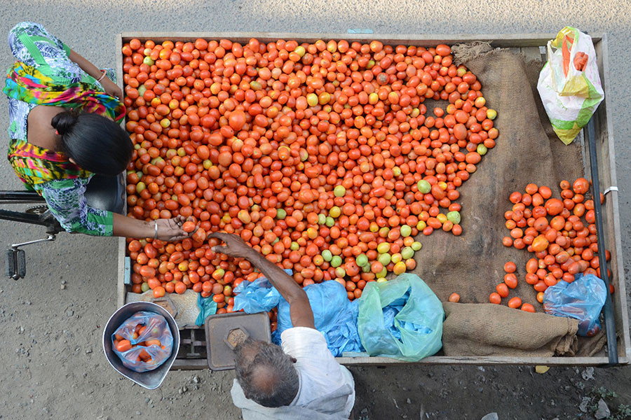 During the past three weeks, the cost of tomatoes has significantly surged in various cities throughout the country. Image: NARINDER NANU / AFP​