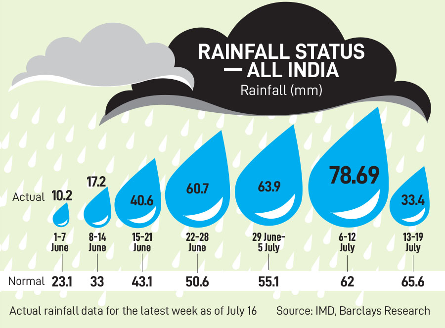 Kharif sowing is still lagging compared to last year, especially for crops like rice, pulses and cotton.
Image: David Talukdar/NurPhoto via Getty Images