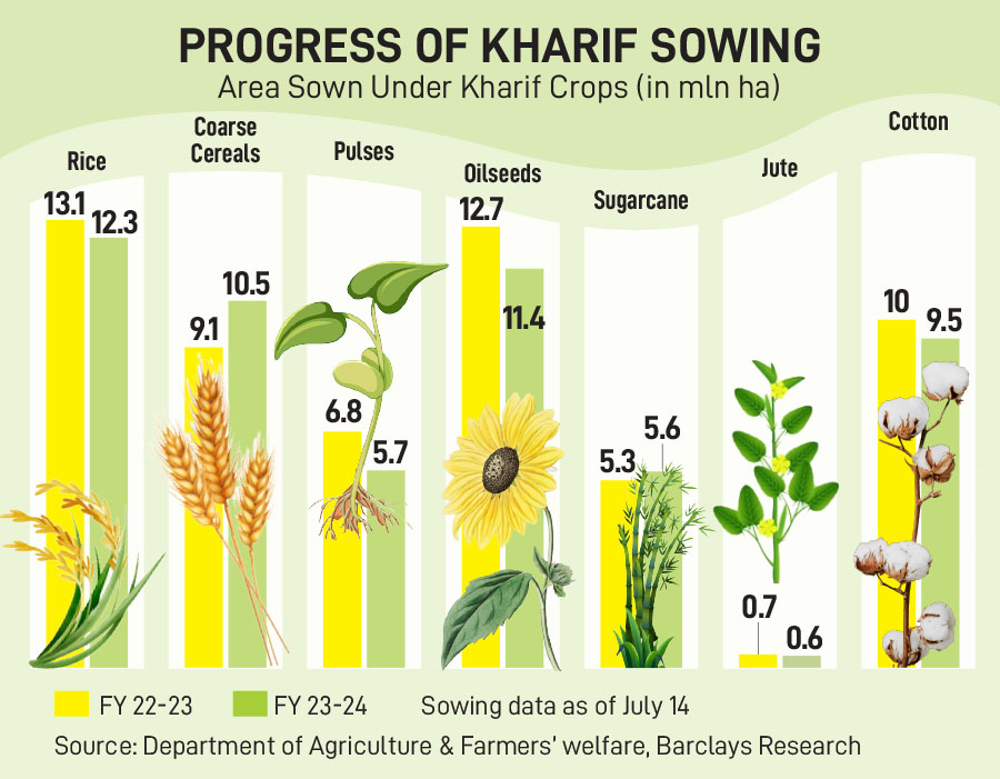 Kharif sowing is still lagging compared to last year, especially for crops like rice, pulses and cotton.
Image: David Talukdar/NurPhoto via Getty Images