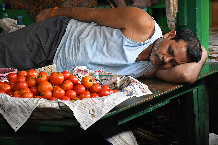 A vendor seen sleeping next to a basket of tomatoes at a vegetable market in Mumbai. Tomatoes have became very costly because of sudden rise in temperature during summer and excess rainfall in tomato producing states. Image: Ashish Vaishnav/SOPA Images/LightRocket via Getty Images